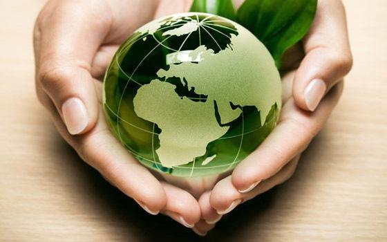 ECONOMÍA VERDE: BUENAS EXPECTATIVAS EN EL MERCADO MEDIOAMBIENTAL